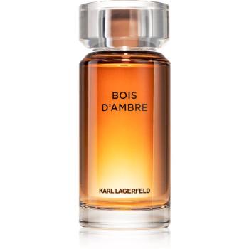 Karl Lagerfeld Bois d´Ambre Eau de Toilette pentru bărbați 100 ml