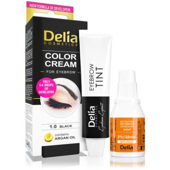Delia Cosmetics Argan Oil culoare pentru sprancene culoare 1.0 Black 15 ml