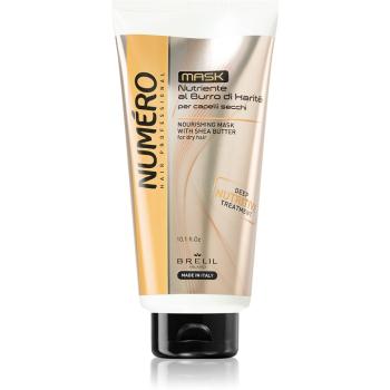 Brelil Numéro Nourishing masca hranitoare unt de shea pentru par uscat 300 ml