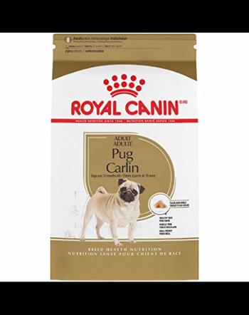 Royal Canin Pug Adult hrana uscata caine, 1.5 kg