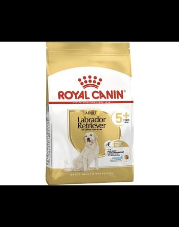 ROYAL CANIN Labrador Retriever 5+ Adult 3 kg karma sucha dla dojrzałych psów rasy Labrador retriever, powyżej 5 roku życia + wiadro półksiężyc gratis