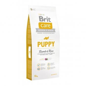 BRIT Care Puppy S-XL, Miel cu Orez, hrană uscată câini junior, 12kg