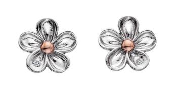 Hot Diamonds Cercei-flori argintii cu diamante Forget me not DE618