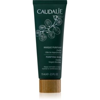 Caudalie Masks & Scrubs masca impotriva imperfectiunilor pielii 75 ml