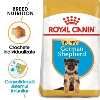 Royal Canin German Shepherd Puppy, pachet economic hrană uscată câini juniori, 12kg x 2