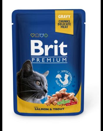 BRIT Premium Cat Adult somon si pastrav pentru pisici, pliculete 24x100g