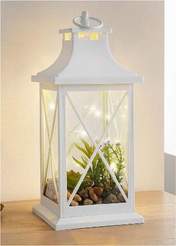 Lanternă cu LED cu plante suculente