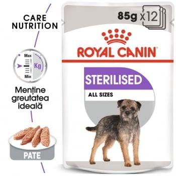 Royal Canin Sterilised Adult, bax hrană umedă câini sterilizați, (pate), 85g x 12
