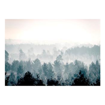 Tapet în format mare Artgeist Winter Forest 400 x 280 cm