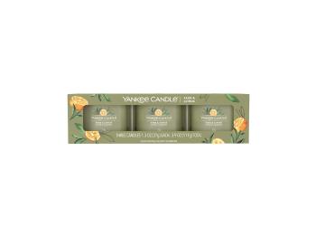 Yankee Candle Set de lumânări votive în sticlă Sage & Citrus 3 x 37 g