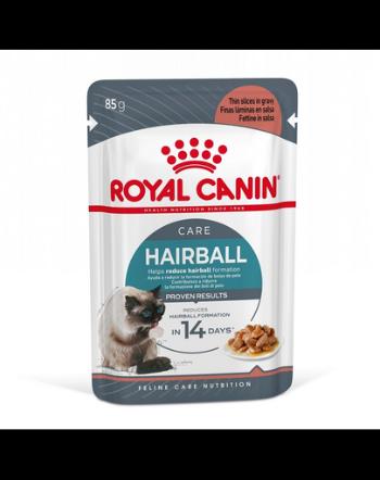 ROYAL CANIN Hairball Care in sos 24x85 g hrana umeda pisici adulte, reduce formarea ghemotoacelor de blana