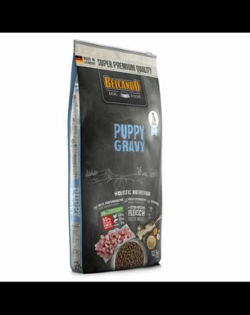 BELCANDO Puppy Gravy 12.5 kg hrana pentru catelusi pana la 4 luni + hrana 1 kg GRATIS