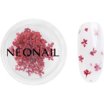 NEONAIL Dried Flowers flori uscate pentru unghii culoare 08 Red 1 buc