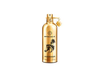 Montale Arabians - EDP - TESTER 100 ml