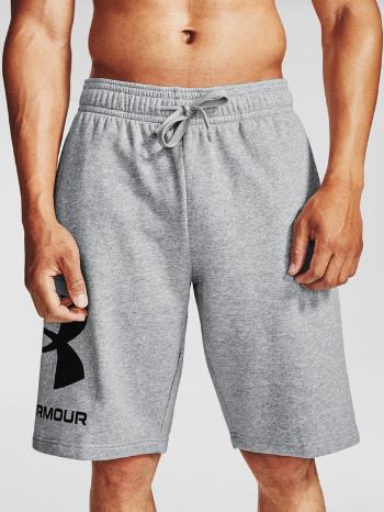 Under Armour UA Rival FLC Pantaloni scurți Gri