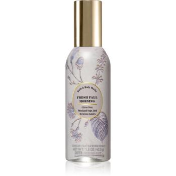 Bath & Body Works Fresh Fall Morning spray pentru camera 42,5 g