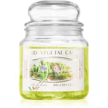 THD Vegetal Fiore E Muschio lumânare parfumată 400 g