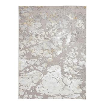 Covor gri deschis 200x290 cm Apollo – Think Rugs