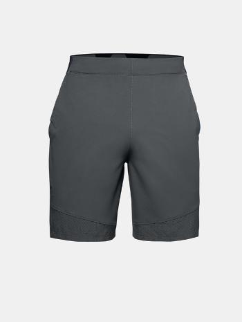 Under Armour Vanish Woven Pantaloni scurți Gri