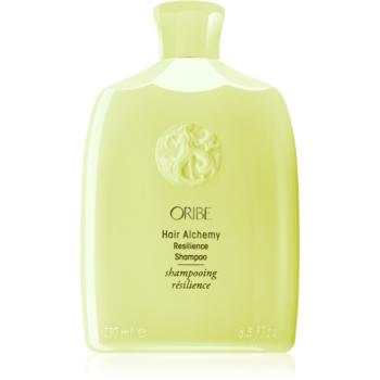 Oribe Hair Alchemy Resilience Shampoo sampon fortifiant pentru par fragil 250 ml