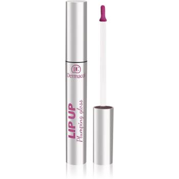 Dermacol Lip Up lip gloss cu efect de crestere culoare 05 3 ml