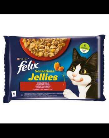 FELIX Sensations Jellies Hrana umeda cu carne si legume in sos pentru pisici adulte/sterlizate 4x85g