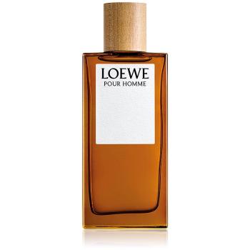 Loewe Loewe Pour Homme Eau de Toilette pentru bărbați 100 ml