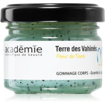 Académie Scientifique de Beauté Terre des Vahinés Body Scrub Lagoon Granita crema delicata pentru exfoliere cu sare de mare 60 ml