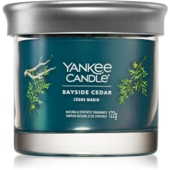 Yankee Candle Bayside Cedar lumânare parfumată I. 122 g