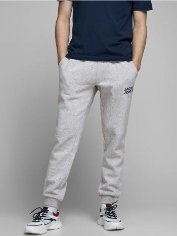 Jack & Jones Gordon Pantaloni de trening Gri