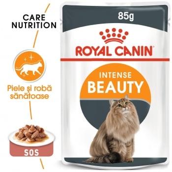 Royal Canin Intense Beauty Care Adult, plic hrană umedă pisici, piele și blană, (în sos), 85g