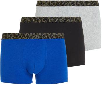 Tommy Hilfiger 3 PACK - boxeri pentru bărbați UM0UM03039-0SH XXL