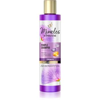 Pantene Pro-V Miracles Strength & Anti-Brassiness sampon violet 225 ml