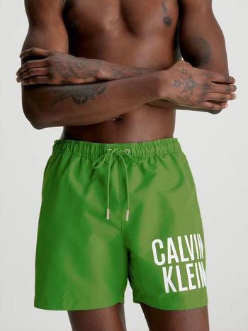 Calvin Klein Underwear	 Costum de baie Verde