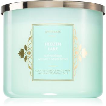 Bath & Body Works Frozen Lake lumânare parfumată 411 g