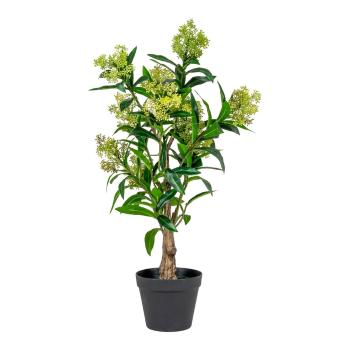 Plantă artificială Skimmia - House Nordic