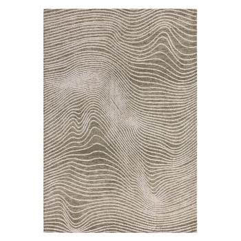 Covor verde-crem 160x230 cm Mason – Asiatic Carpets