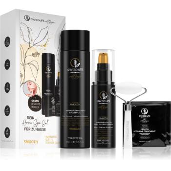 Paul Mitchell Awapuhi Wild Ginger set (pentru netezirea parului)