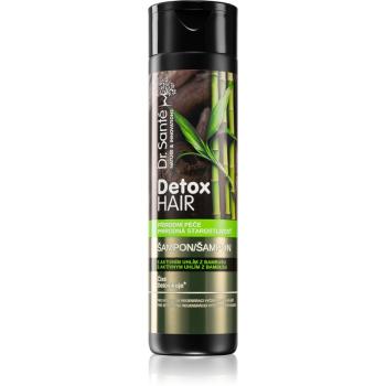 Dr. Santé Detox Hair șampon intens cu efect de regenerare 250 ml