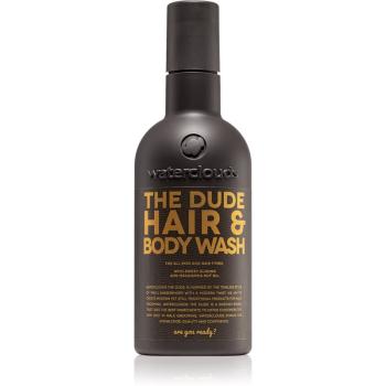 Waterclouds The Dude Hair & Body Wash 2 in 1 gel de dus si sampon 250 ml