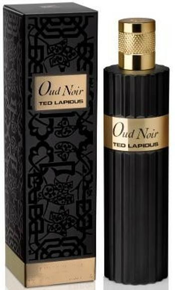 Ted Lapidus Oud Noir - EDP 100 ml