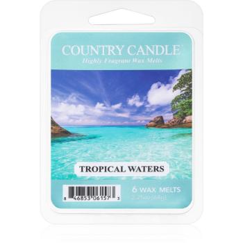 Country Candle Tropical Waters ceară pentru aromatizator 64 g