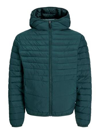 Jack&Jones Geacă pentru bărbați JJESTATE 12256983 Magical Forest M