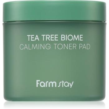 Farmstay Tea Tree Biome dischete de tonifiere pentru netezirea pielii 140 ml