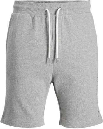 Jack&Jones Pantaloni scurți pentru bărbați JJIFONT 12202197 Light Grey Melange XXL