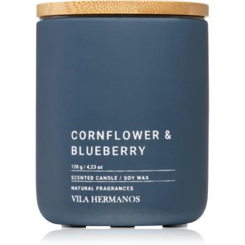 Vila Hermanos Concrete Cornflower & Blueberry lumânare parfumată 120 g