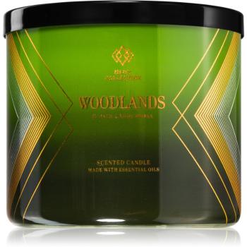 Bath & Body Works Woodland lumânare parfumată 411 g