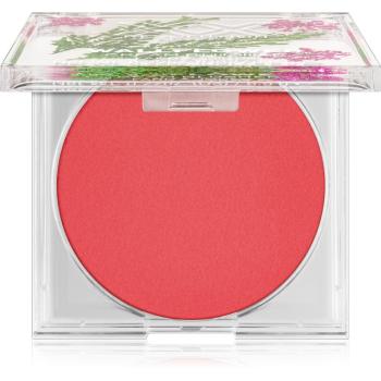 XX by Revolution BOTANICAL WALLFLOWER blush mat cremos culoare Foxhole Lane 6,5 g