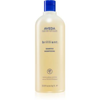 Aveda Brilliant™ Shampoo șampon pentru parul tratat chimic 1000 ml