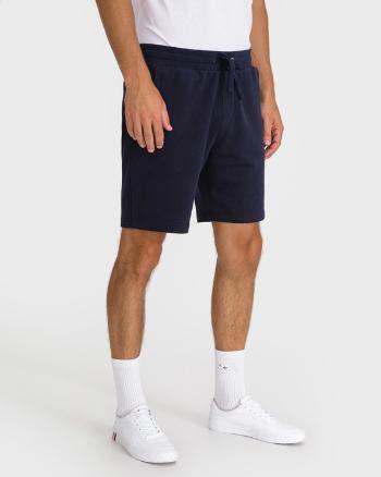 Tommy Hilfiger Applique Pantaloni scurți Albastru